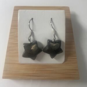 Pendientes "Stellar" en Pirita Natural y Plata 925